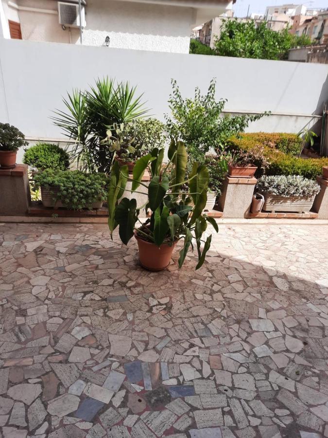 Le Palme Netine